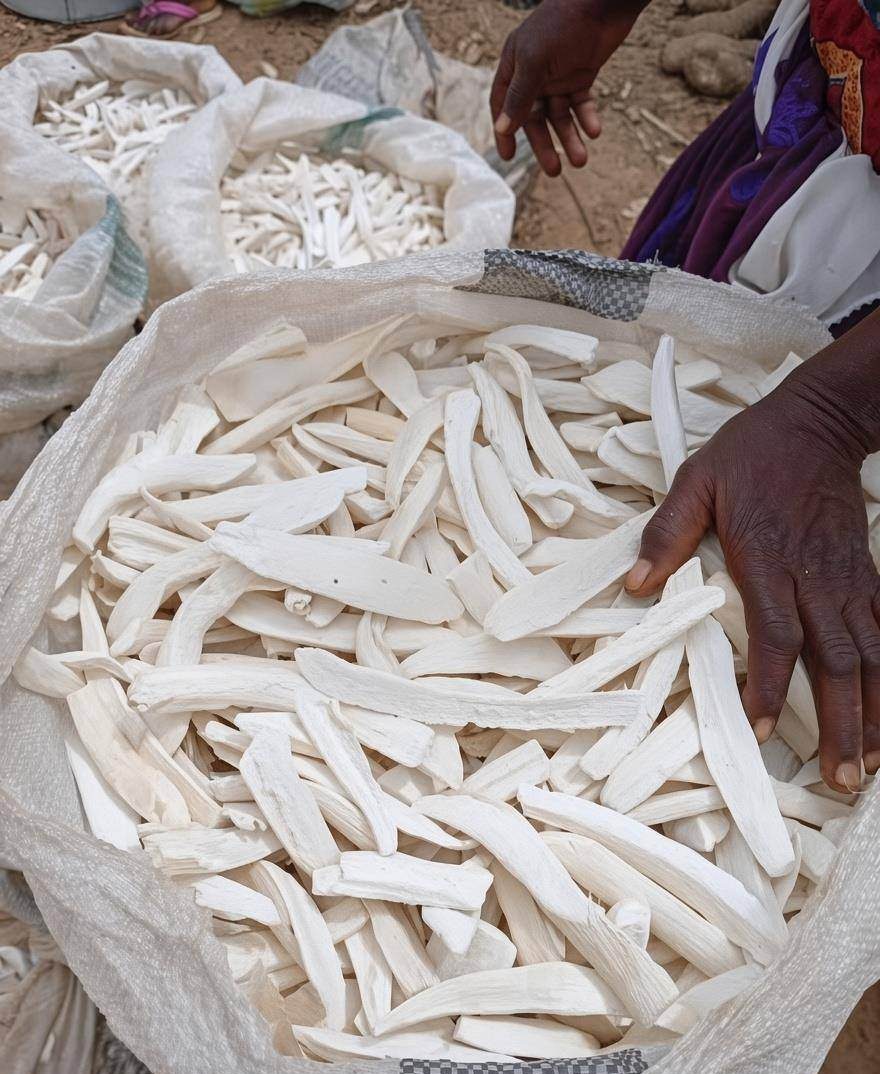 A sack of clean dried cassava chips