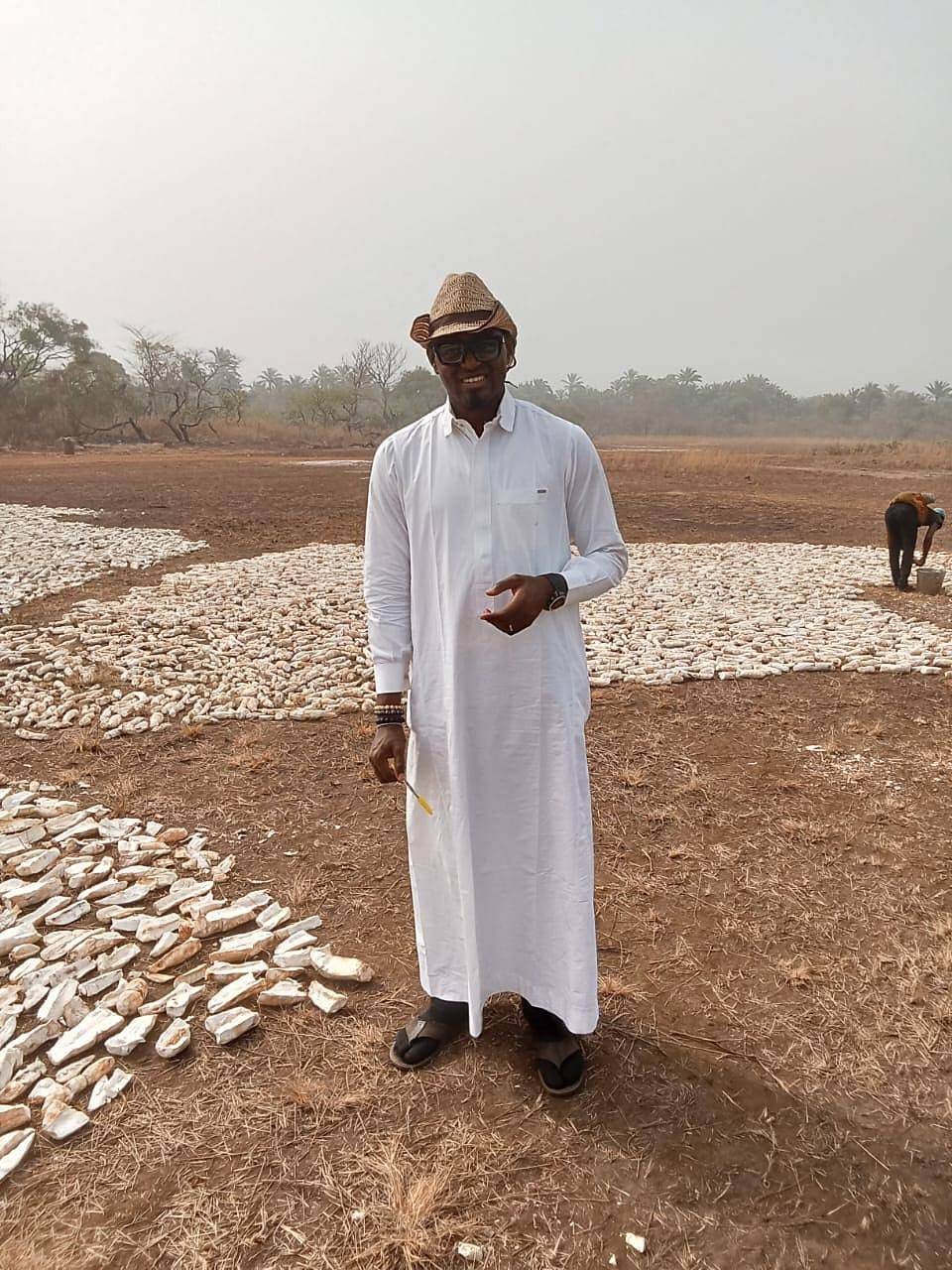 Cassava chips drying in the open field