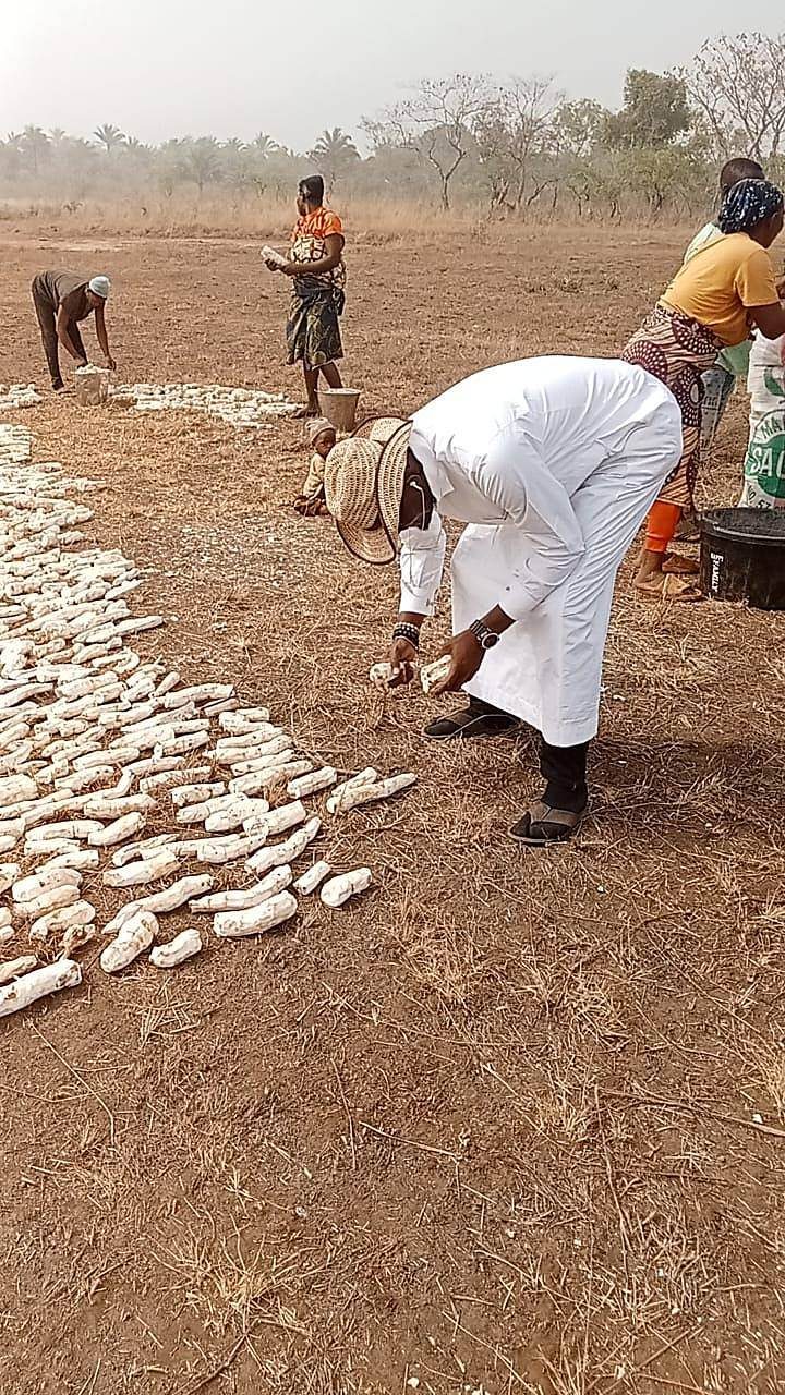 Workers turning cassava chips on the drying field